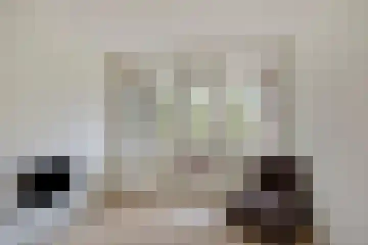 Meerburgerkade 48 Leiden thumbnail 28