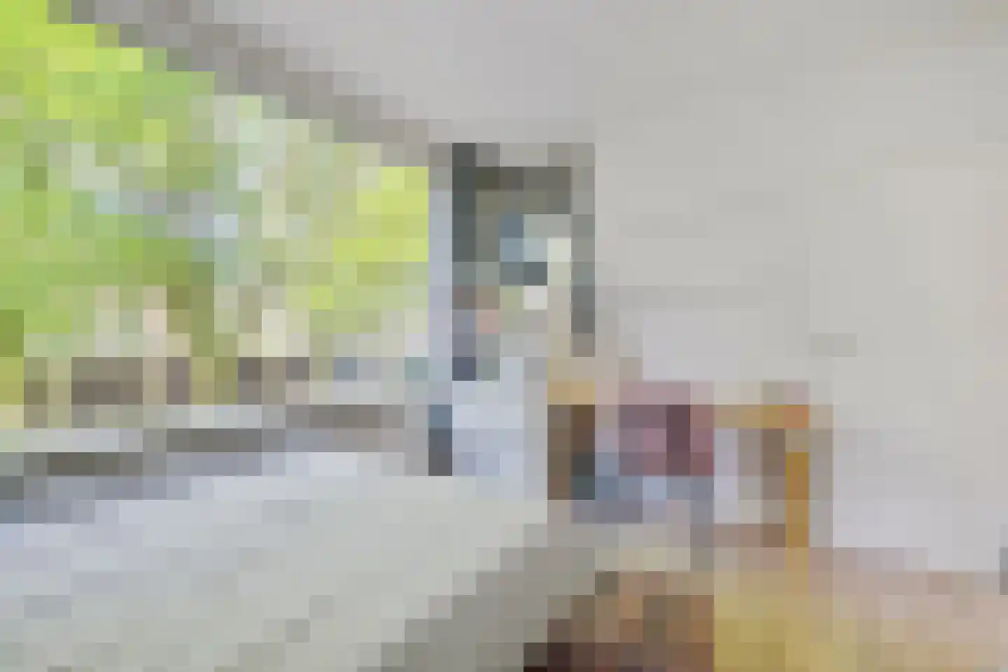 Meerburgerkade 55 Leiden thumbnail 15