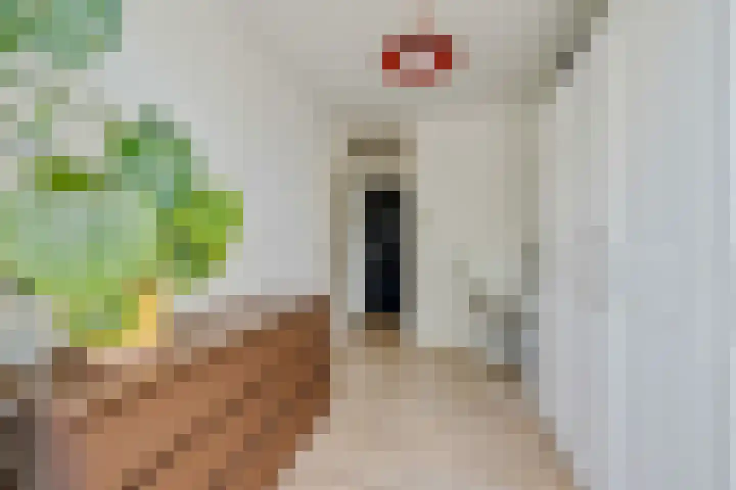 Meerburgerkade 55 Leiden thumbnail 37