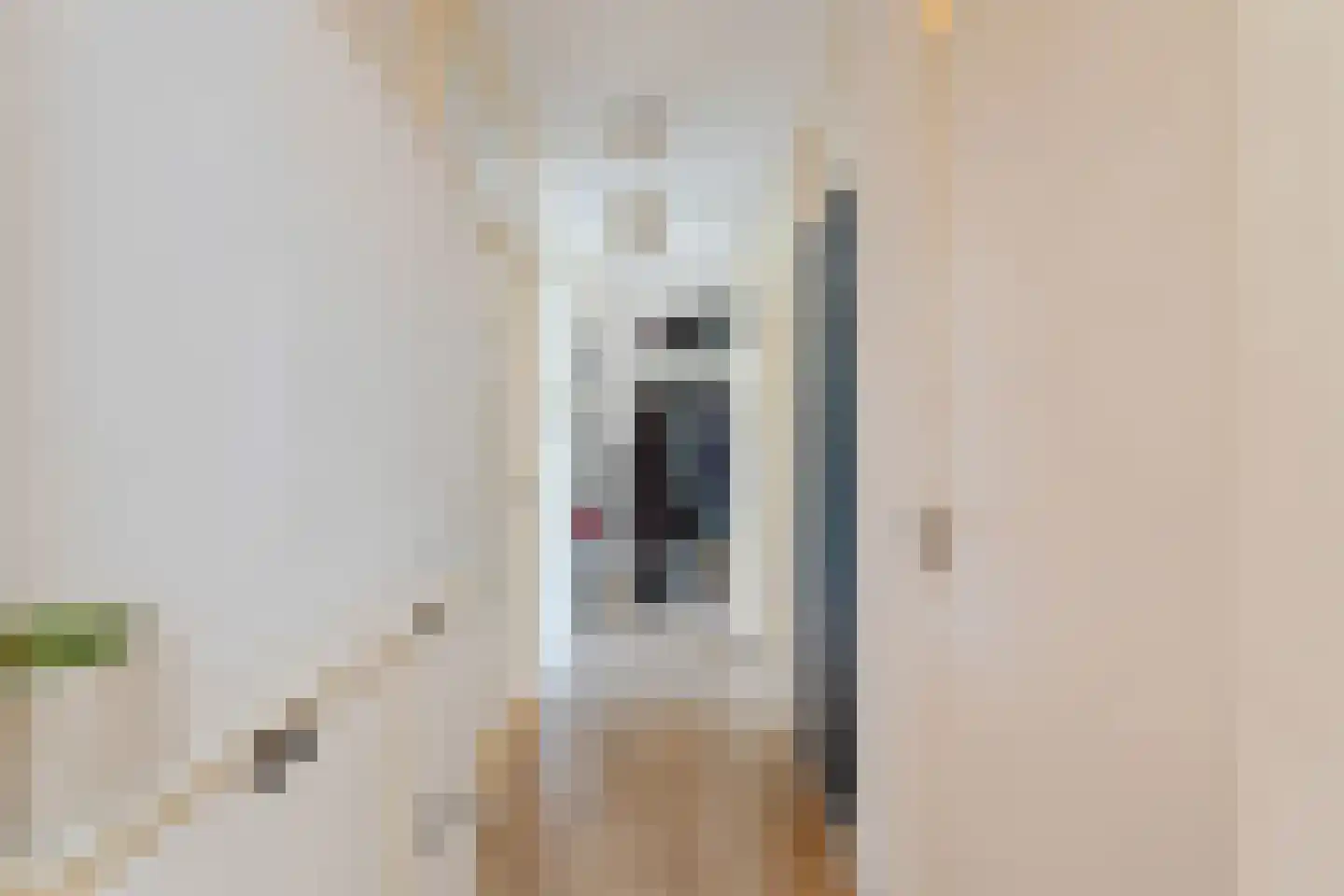Meerburgerkade 55 Leiden thumbnail 39