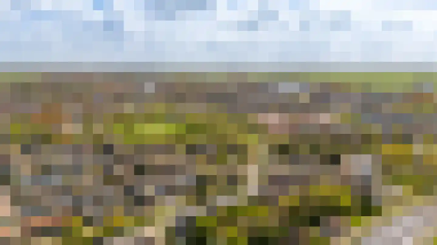 Meerburgerkade 55 Leiden thumbnail 40