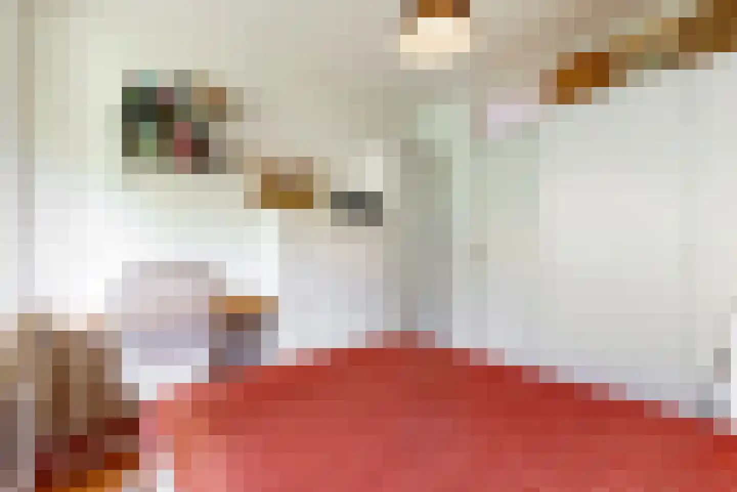 Meerburgerkade 65 Leiden thumbnail 18