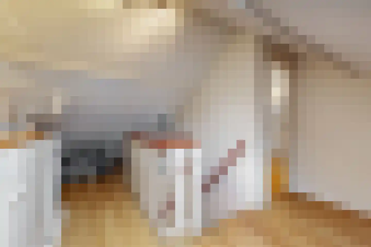 Meerburgerkade 9 Leiden thumbnail 30