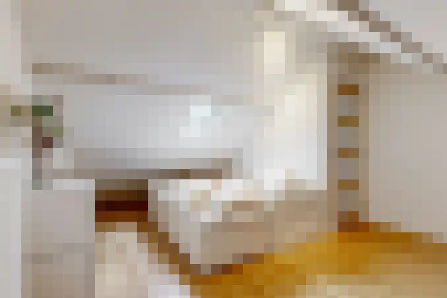 Meerburgerkade 9 Leiden thumbnail 31