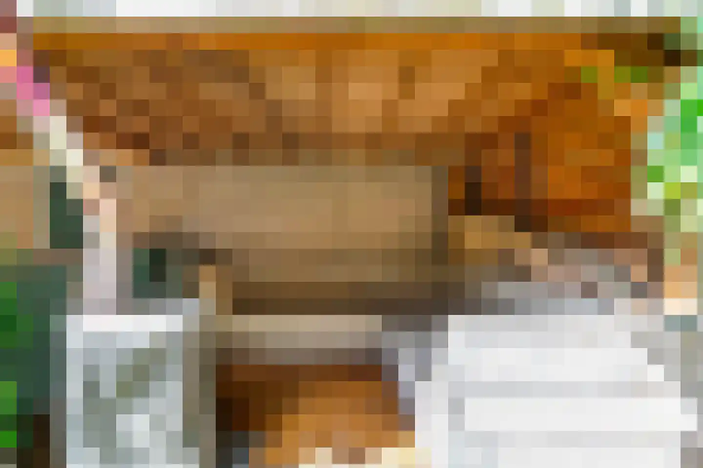 Meerburgerkade 9 Leiden thumbnail 37