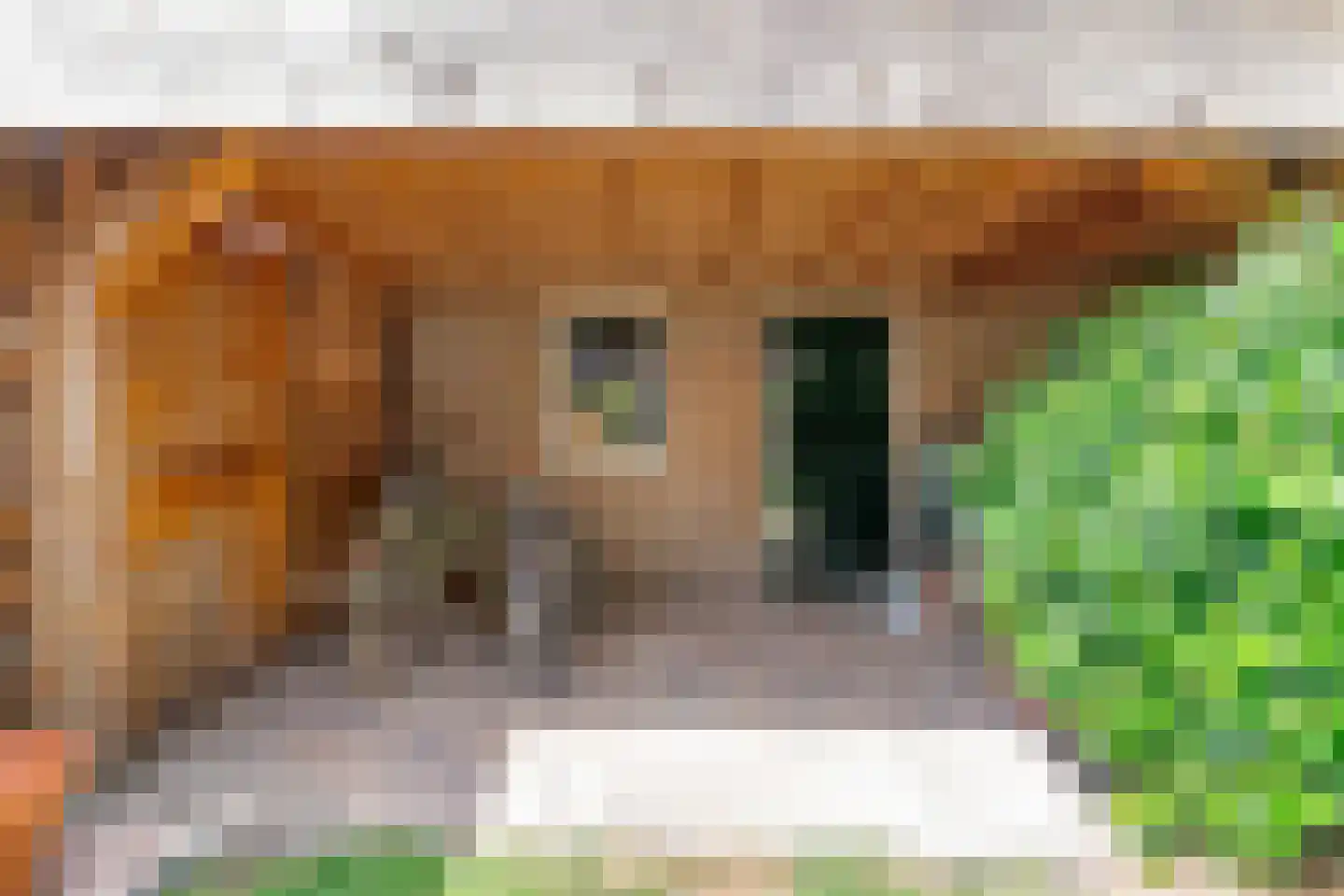 Meerburgerkade 9 Leiden thumbnail 38