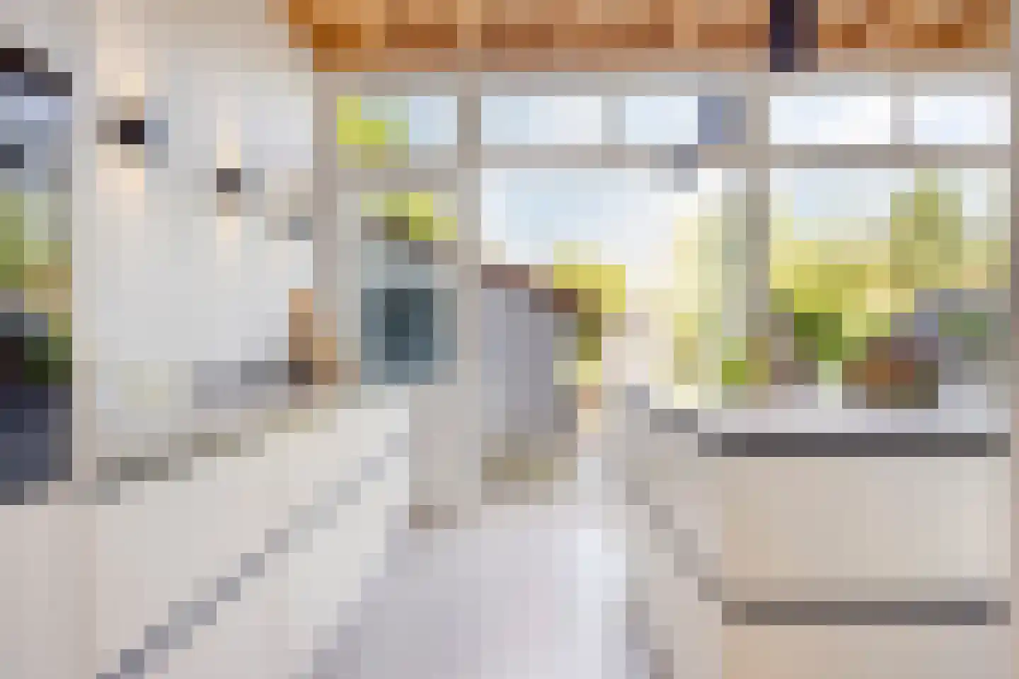 Meerburgerstraat 9 Leiden thumbnail 12