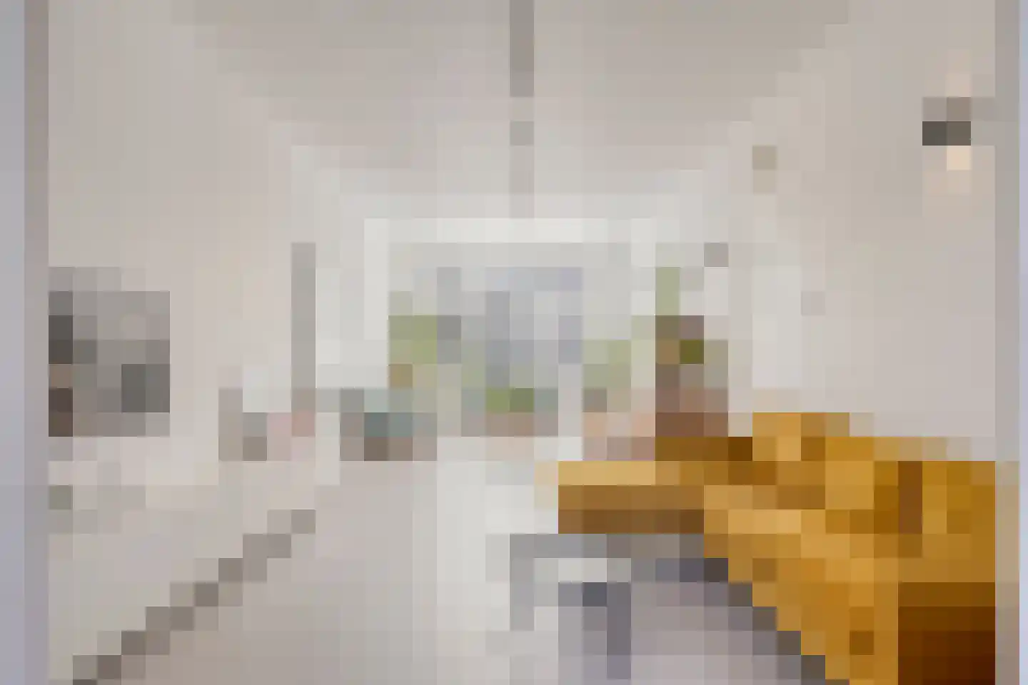 Meerburgerstraat 9 Leiden thumbnail 7