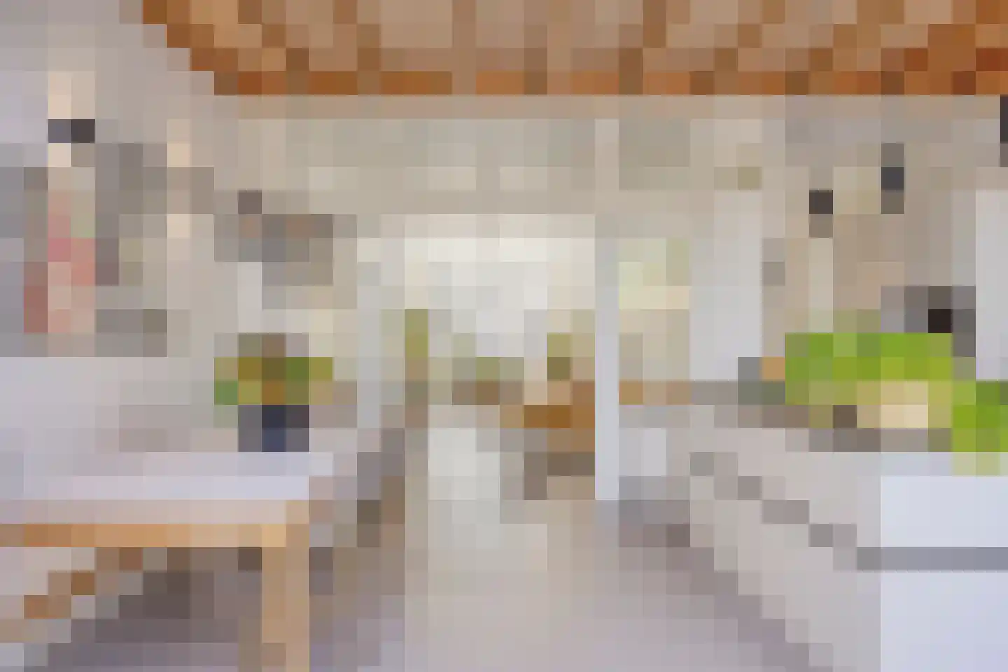 Meerburgerstraat 9 Leiden thumbnail 8