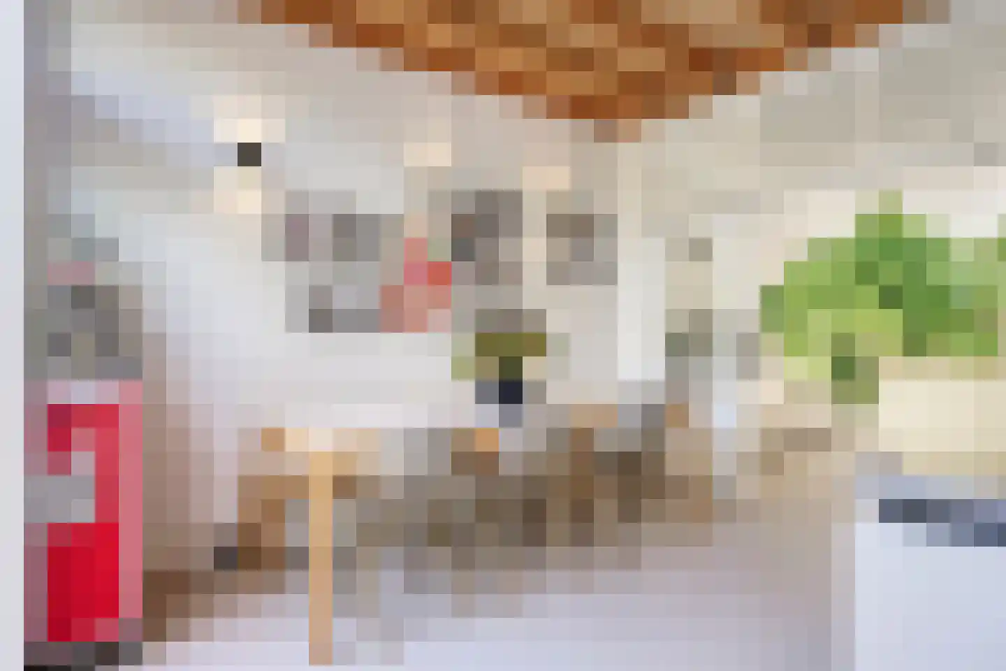 Meerburgerstraat 9 Leiden thumbnail 9