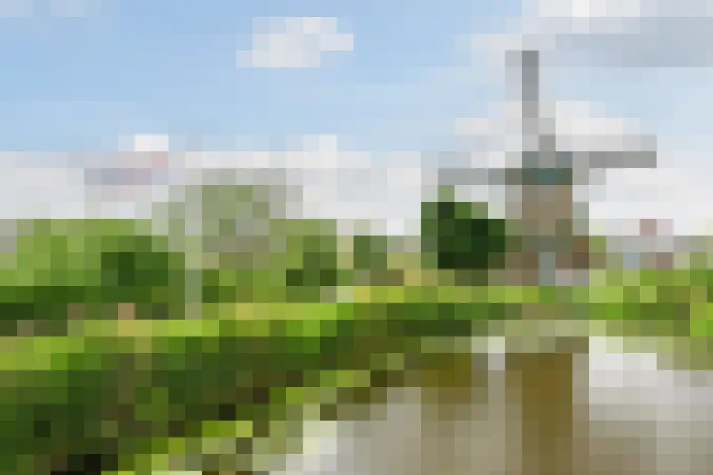 Meerburglaan 18 Leiderdorp thumbnail 28