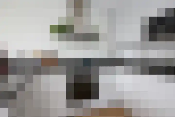 Meerburglaan 22 Leiderdorp thumbnail 14