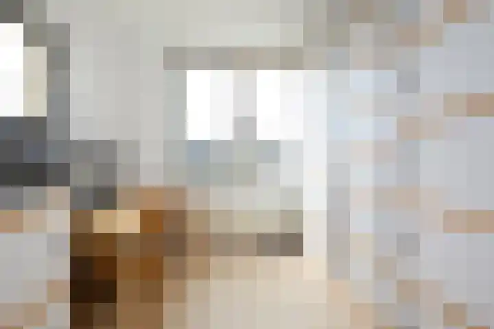 Meerburglaan 22 Leiderdorp thumbnail 35