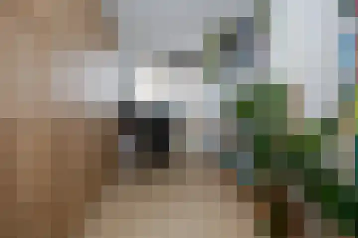 Meerburglaan 22 Leiderdorp thumbnail 37