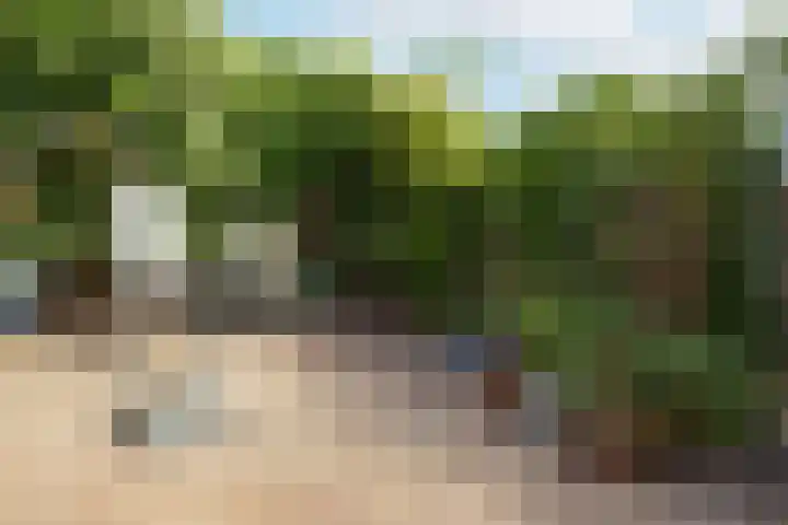 Meerburglaan 22 Leiderdorp thumbnail 43