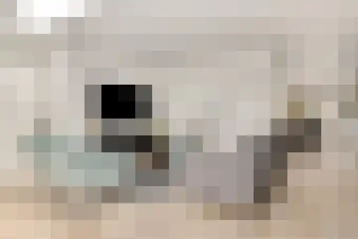 Meerburglaan 36 Leiderdorp thumbnail 11