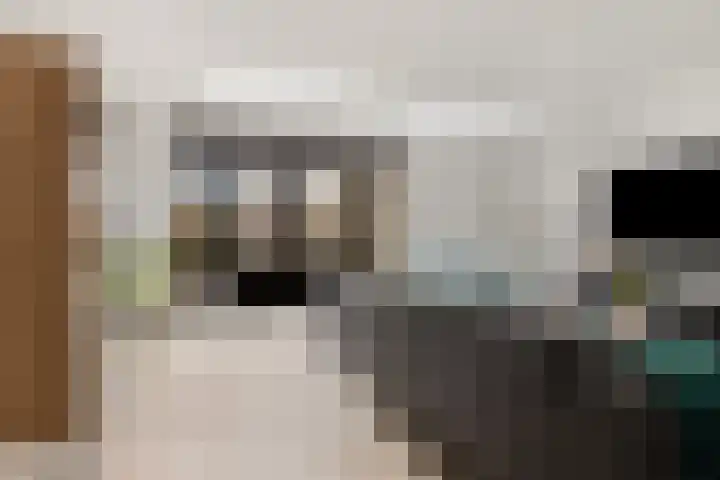 Meerburglaan 36 Leiderdorp thumbnail 12