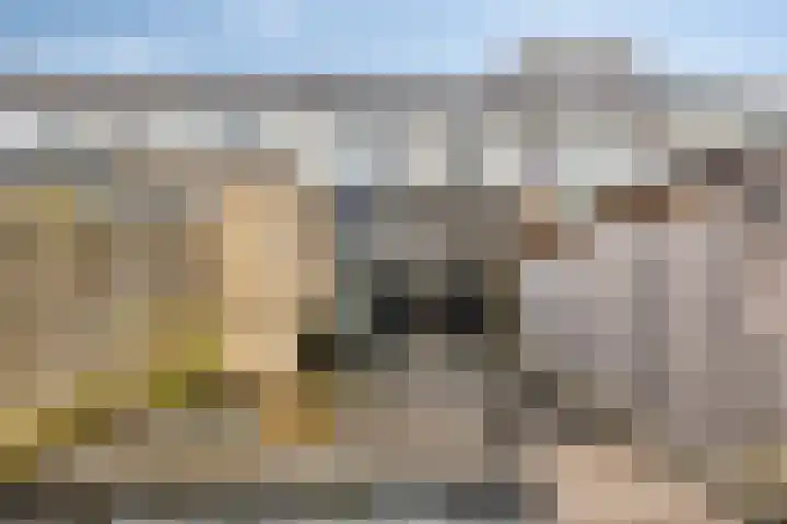 Meerburglaan 36 Leiderdorp thumbnail 14