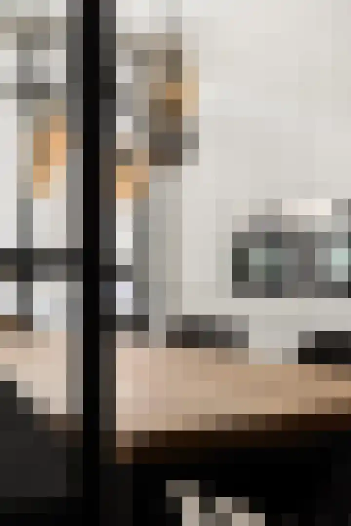 Meerburglaan 36 Leiderdorp thumbnail 4