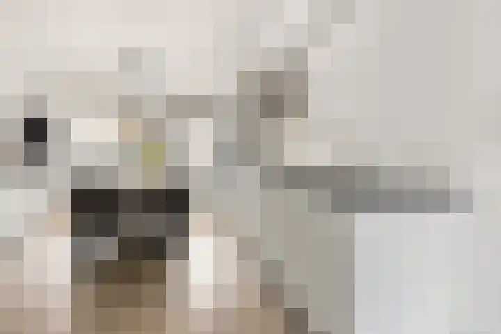Meerburglaan 36 Leiderdorp thumbnail 7