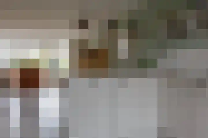 Meercamp 51 Houten thumbnail 15