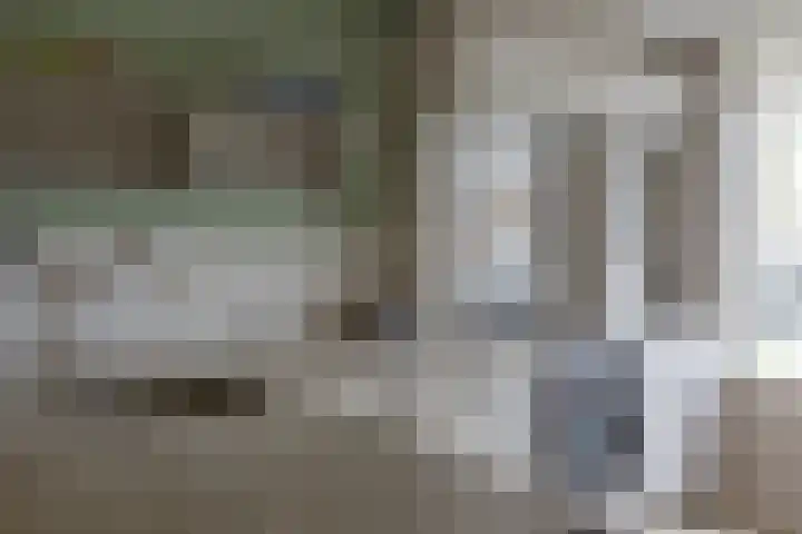 Meercamp 51 Houten thumbnail 20