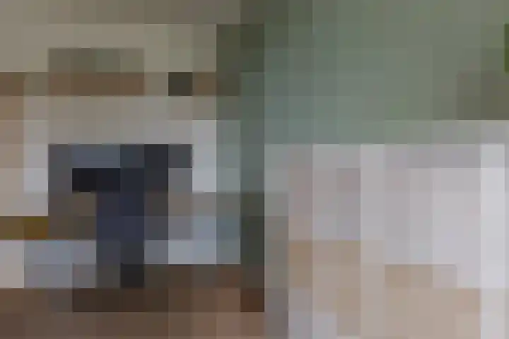 Meercamp 51 Houten thumbnail 34