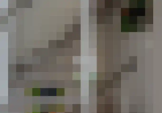 Meercamp 51 Houten thumbnail 42