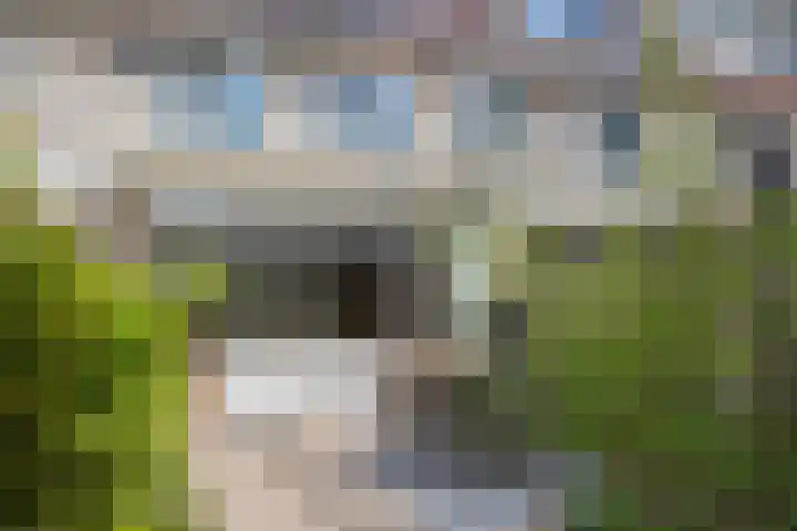 Meercamp 51 Houten thumbnail 53