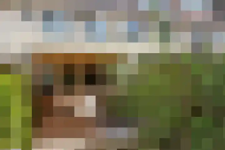 Meercamp 51 Houten thumbnail 54