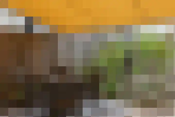 Meercamp 51 Houten thumbnail 55