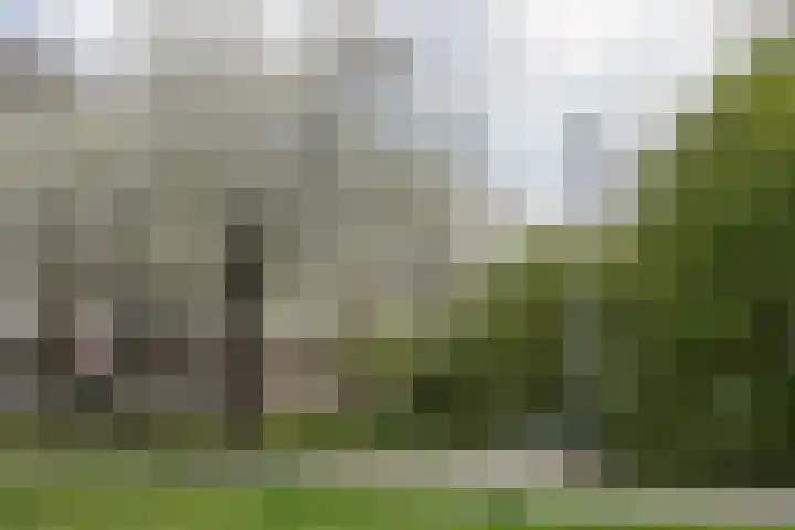 Meercamp 51 Houten thumbnail 64