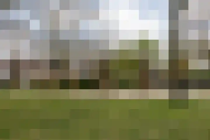 Meercamp 51 Houten thumbnail 66