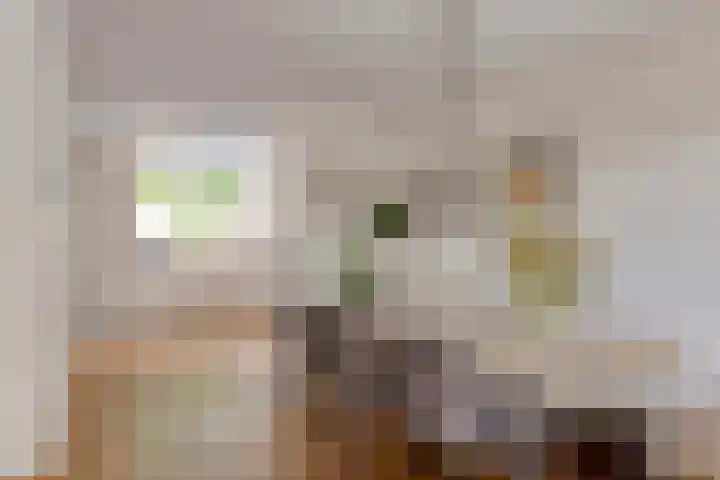 Meercamp 57 Houten thumbnail 10