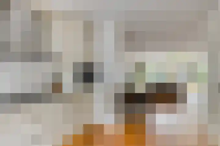 Meercamp 57 Houten thumbnail 12