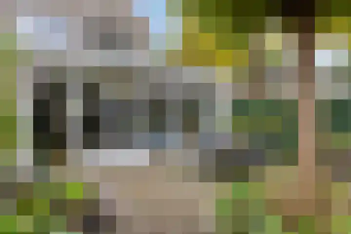 Meercamp 57 Houten thumbnail 15