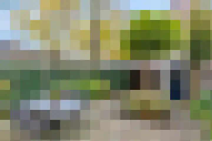 Meercamp 57 Houten thumbnail 17