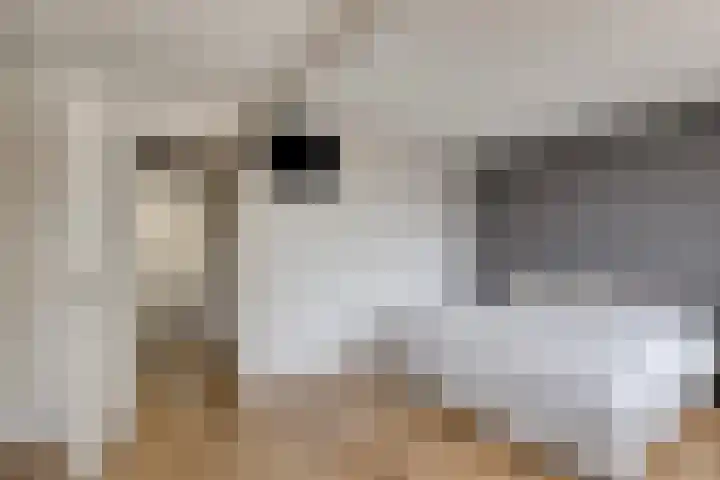 Meercamp 57 Houten thumbnail 22
