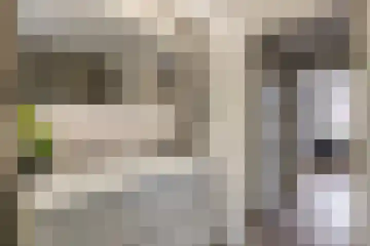 Meercamp 57 Houten thumbnail 25