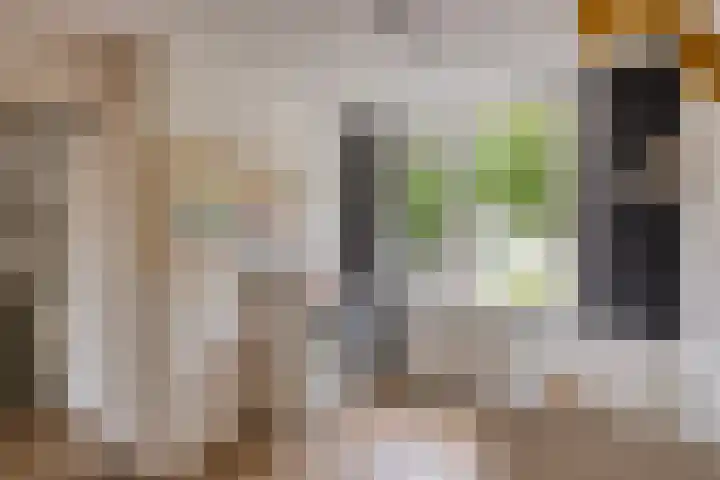 Meercamp 57 Houten thumbnail 27