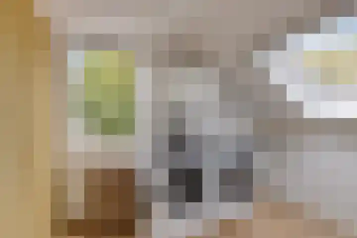 Meercamp 57 Houten thumbnail 31
