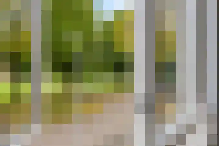 Meercamp 57 Houten thumbnail 32