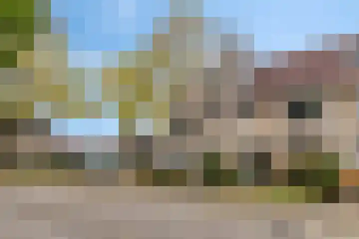 Meercamp 57 Houten thumbnail 33