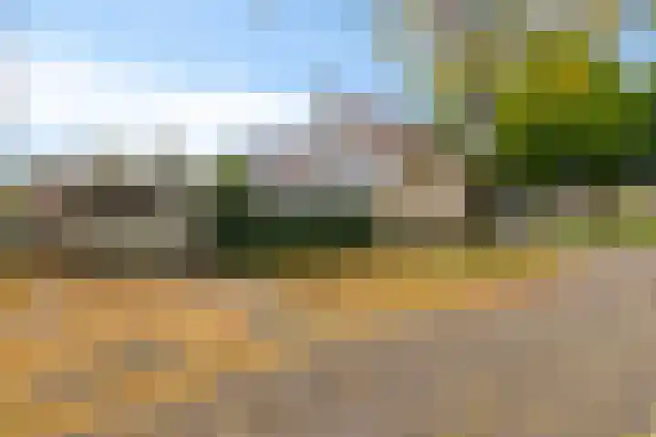Meercamp 57 Houten thumbnail 34