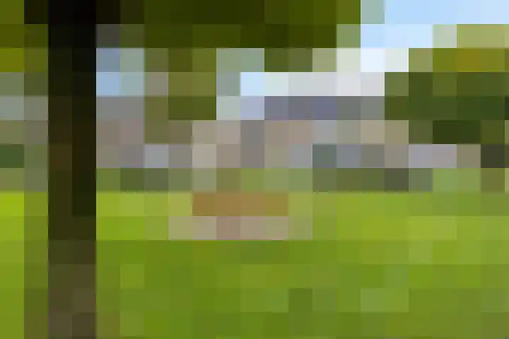 Meercamp 57 Houten thumbnail 36