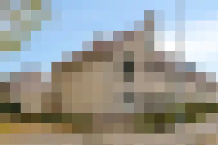 Meercamp 57 Houten thumbnail 37