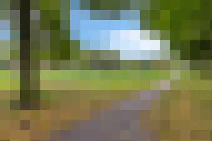 Meercamp 57 Houten thumbnail 38