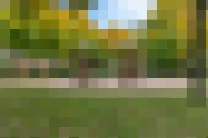 Meercamp 57 Houten thumbnail 39