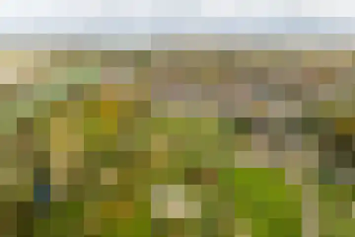 Meercamp 57 Houten thumbnail 40