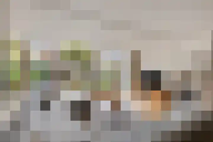 Meercamp 57 Houten thumbnail 5